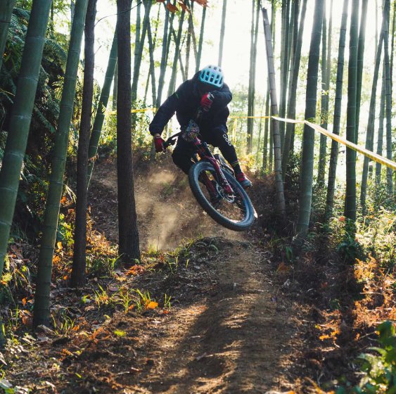 Frey Bike-M600 E-Bike -Bafang M600 - Full Suspension -Up To 28 MPH