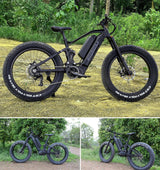 Frey EX-Fat Tire E-Bike