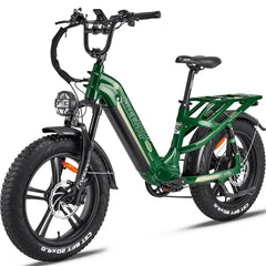 FREESKY Rocky 750 w Step Thru Ebike 20x4 Fat Electric Cargo eBike