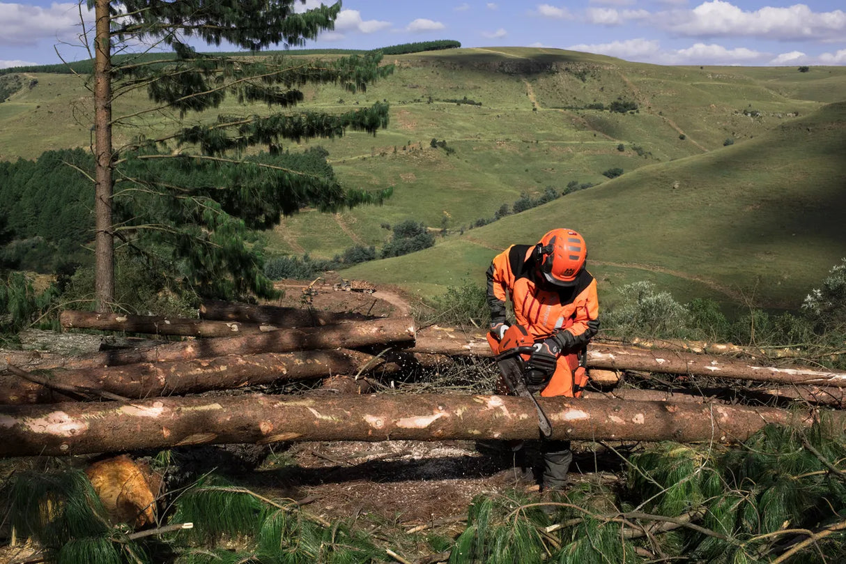 Husqvarna 565 Chainsaw