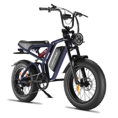 Happyrun Tank G60 750W Electric Bike Fat Tire Dirt All Terrain