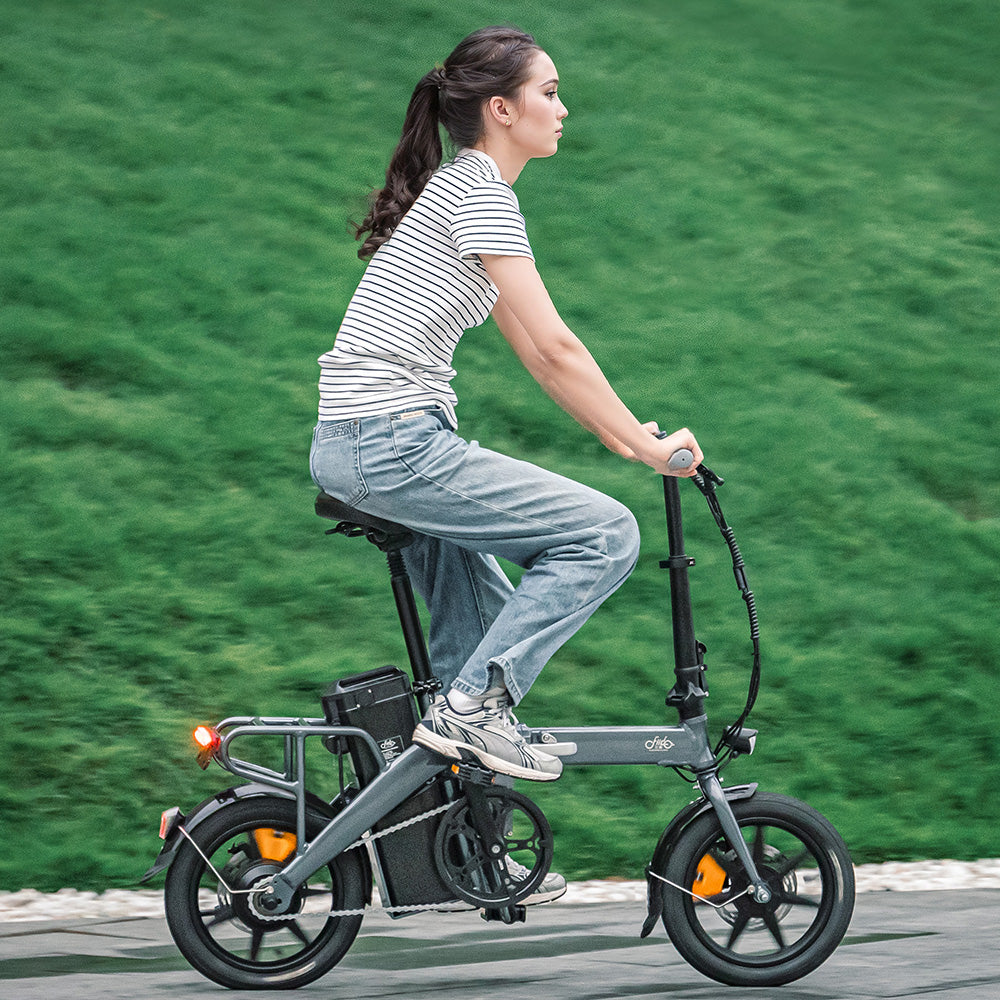 Fiido 350W L3 Long Range Electric Bike