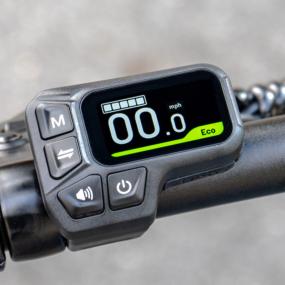 Fiido 350W L3 Long Range Electric Bike