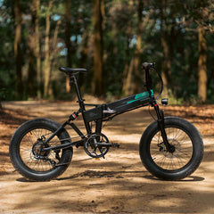 Fiido 500W M1 Pro Fat Tire Electric Bike