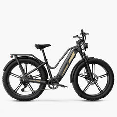 Fiido Titan Robust Cargo Electric Bike