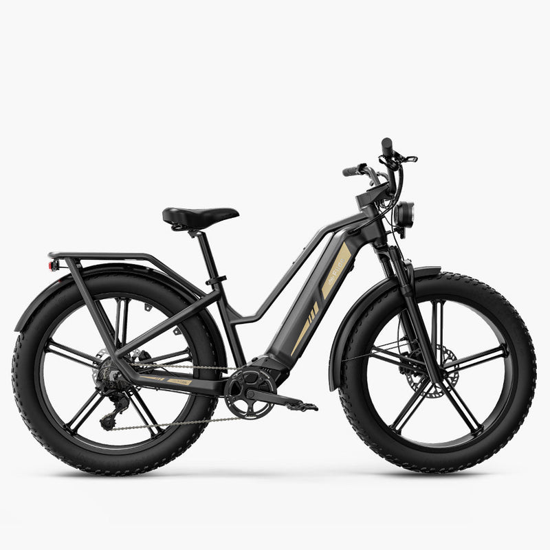 Fiido Titan Cargo Electric Bike | Fat Tire Mountain E-Bike | 84 Miles Long Distance Assist Rang