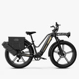 Fiido Titan Cargo Electric Bike | Fat Tire Mountain E-Bike | 84 Miles Long Distance Assist Rang