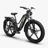 Fiido Titan Cargo Electric Bike | Fat Tire Mountain E-Bike | 84 Miles Long Distance Assist Rang
