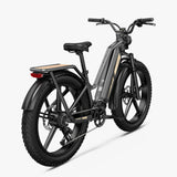 Fiido Titan Cargo Electric Bike | Fat Tire Mountain E-Bike | 84 Miles Long Distance Assist Rang