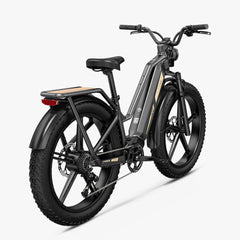 Fiido Titan Robust Cargo Electric Bike