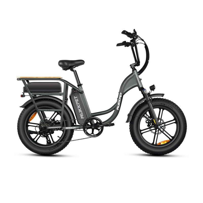 Mukkpet Breeze Electric Bike 750W Dual 48V 15AH Batteries