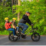 Mukkpet Stepwagon Dual-Battery Cargo E-Bike 750W
