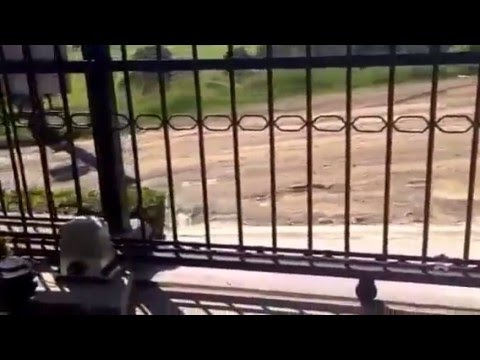 Aleko Sliding Gate Opener - AR1850 - Accessory Kit ACC4