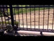 Aleko Sliding Gate Opener - AR1850 - Accessory Kit ACC4