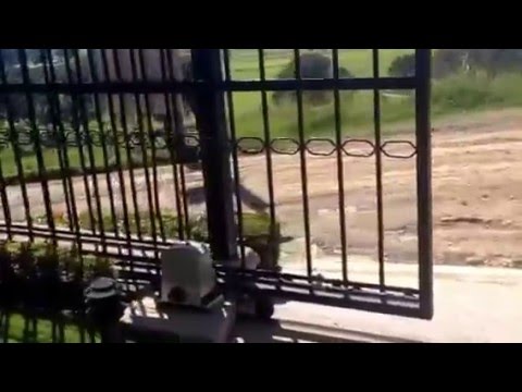 Aleko Sliding Gate Opener - AR1850 - Starter Kit