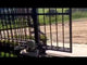 Aleko Sliding Gate Opener - AR1850 - Starter Kit