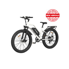 Aostirmotor S07-G Unisex Fat Tire 750W 48V City Commuter Electric Bike