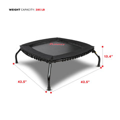 Sunny Health & Fitness Premium Indoor & Outdoor Exercise Trampoline