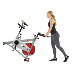 Sunny & Fitness Fitness Pro II Stationary Indoor Cycling Bike