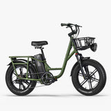 Fiido T1 Pro Cargo E-Bike, Fat Tire, 60Nm, 750W Motor