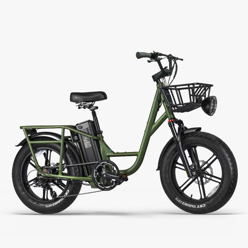 Fiido T1 Pro Cargo E-Bike, Fat Tire, 60Nm, 750W Motor