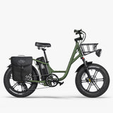 Fiido T1 Pro Cargo E-Bike, Fat Tire, 60Nm, 750W Motor