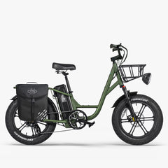 Fiido T1 Pro Utility Electric Bike