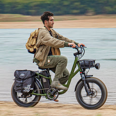 Fiido T1 Pro Utility Electric Bike