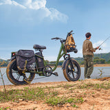 Fiido T1 Pro Cargo E-Bike, Fat Tire, 60Nm, 750W Motor