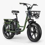 Fiido T1 Pro Cargo E-Bike, Fat Tire, 60Nm, 750W Motor