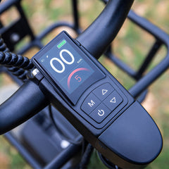 Fiido T1 Pro Utility Electric Bike