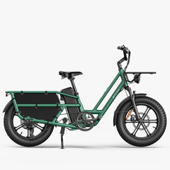 Fiido T2 Longtail Cargo E-bike 750W, 440LBS Capacity