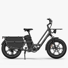 Fiido T2 Longtail Cargo E-bike 750W, 440LBS Capacity