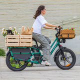 Fiido T2 Longtail Cargo E-bike 750W, 440LBS Capacity
