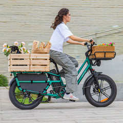 Fiido T2 Longtail Cargo E-bike 750W, 440LBS Capacity