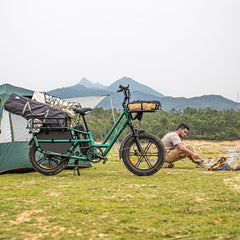 Fiido T2 Longtail Cargo E-bike 750W, 440LBS Capacity