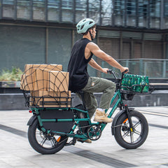 Fiido T2 Longtail Cargo E-bike 750W, 440LBS Capacity