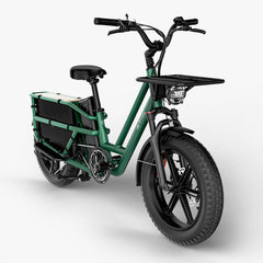 Fiido T2 Longtail Cargo E-bike 750W, 440LBS Capacity