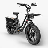Fiido T2 Longtail Cargo E-bike 750W, 440LBS Capacity