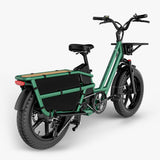 Fiido T2 Longtail Cargo E-bike 750W, 440LBS Capacity
