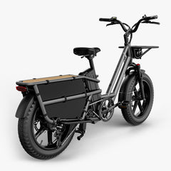 Fiido T2 Longtail Cargo E-bike 750W, 440LBS Capacity