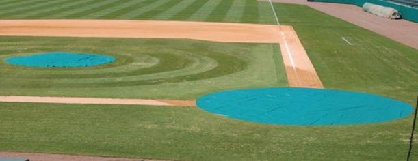 Trigon Sports International Heavy Duty Circular Spot Rain Covers