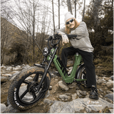 Bandit X-Trail Pro Step Thru