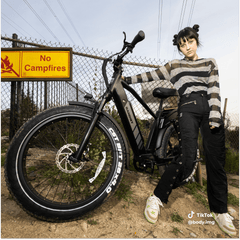 Bandit X- Trail Urban High-Step Electric Bike